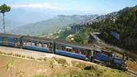 darjeeling-info1